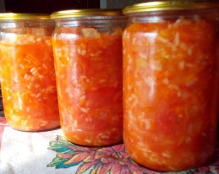 11 mejores recetas paso a paso para hacer bocadillos de tomate para el invierno