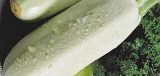 Description de la variété de courgettes Rolik, caractéristiques de culture et d'entretien