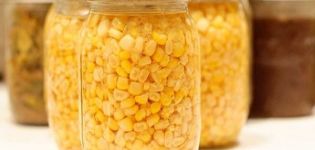 How to preserve corn on the cob and grains at home for the winter, recipes with and without sterilization