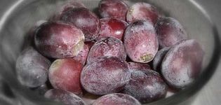 ¿Es posible congelar uvas para el invierno y TOP 4 formas en casa?