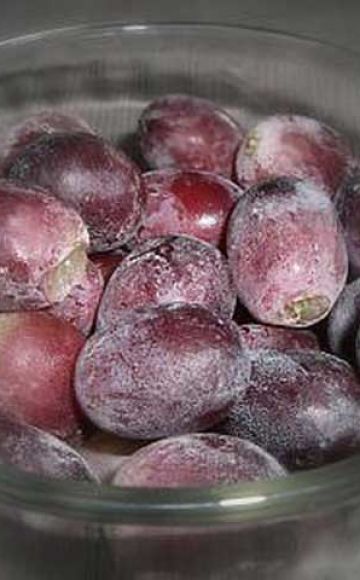 ¿Es posible congelar uvas para el invierno y TOP 4 formas en casa?