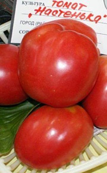 Caractéristiques et description de la variété de tomate Nastenka, son rendement