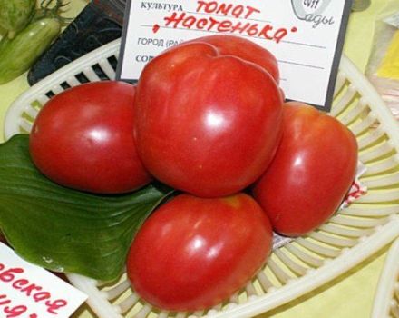 Características y descripción de la variedad de tomate Nastenka, su rendimiento.