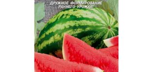 Description of the variety of watermelon Foton, characteristics and subtleties of cultivation, yield