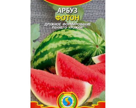 Description of the variety of watermelon Foton, characteristics and subtleties of cultivation, yield