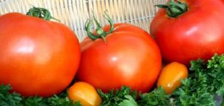 Description of the fatty tomato variety, its planting and care