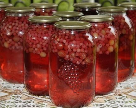 Ang isang simpleng recipe para sa mansanas at gooseberry compote para sa taglamig