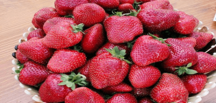 Description and characteristics of the strawberry variety Take, planting and care