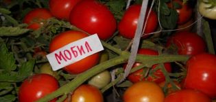 Caractéristiques et description de la variété de tomates Mobil, son rendement