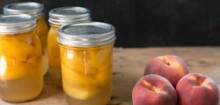 A simple recipe for making peach jam for the winter