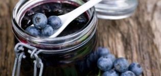 TOP 4 des recettes pour faire de la confiture de bleuets dans une mijoteuse