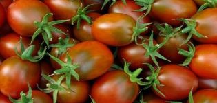 Descripción de la variedad de tomate Emperador, características de cultivo y cuidado.