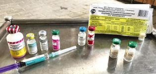 Instruction for the vaccine against rhinopneumonia in horses and its composition