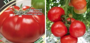 Description of the tomato variety Kasatik and the features of its cultivation