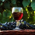 La meilleure recette pour faire du vin de raisin sauvage à la maison