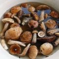 TOP 10 recepten om thuis eenvoudig champignons te zouten, warm en koud