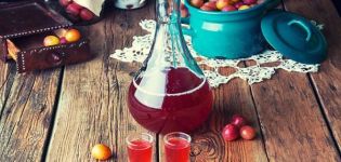 TOP 13 step-by-step recipes for making plum wine at home