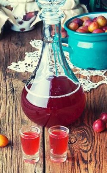 TOP 13 step-by-step recipes for making plum wine at home