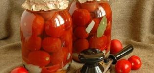 TOP 10 recetas de tomates en escabeche con aspirina para el invierno en un frasco de 1-3 litros