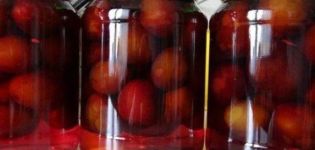 TOP 15 recipes for making pickled plum snack for the winter