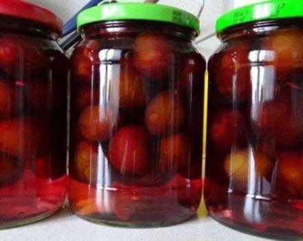 TOP 15 recetas para hacer bocadillos de ciruela en escabeche para el invierno