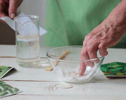 Is it possible to spray cucumbers with hydrogen peroxide as a fertilizer