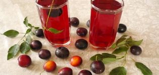 5 simple recipes for making cherry plum wine step by step at home