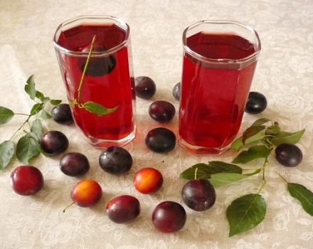 5 simple recipes for making cherry plum wine step by step at home