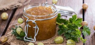 Top 8 quick 5-minute gooseberry jam recipes for the winter