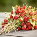 How can you keep strawberries for the winter without cooking fresh