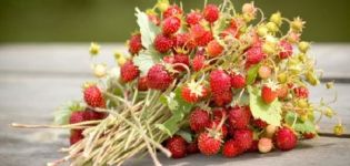 Comment conserver les fraises pour l'hiver sans les cuire fraîches