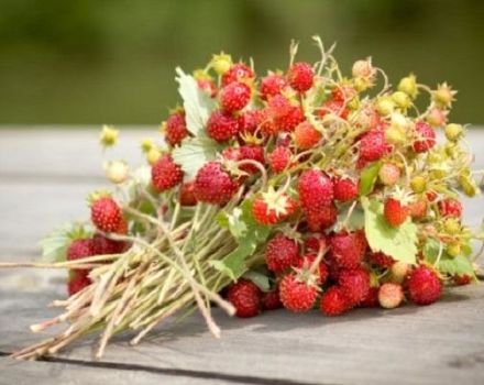 Bagaimana anda boleh menyimpan strawberi untuk musim sejuk tanpa memasak segar