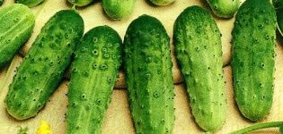 Descripción de la variedad de pepino Zhuravlenok f1, sus características y rendimiento.