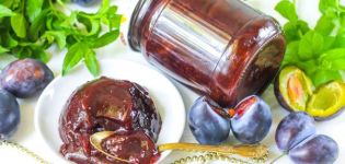 TOP 10 recipes for making plum jam with cocoa for the winter