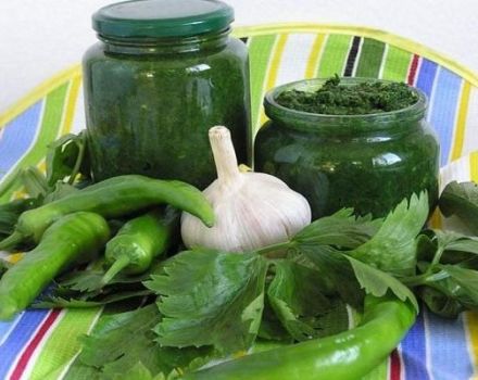 15 step-by-step recipes for making parsley adjika for the winter