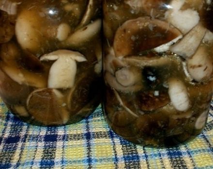 Comment saler et mariner les champignons du peuplier faux-tremble, recettes pour l'hiver dans des bocaux