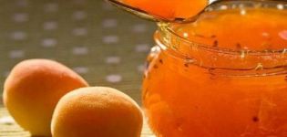 The best recipe for making apricot jam with lemon step by step