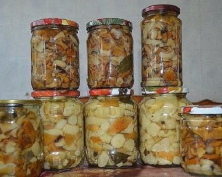 TOP 12 recetas para hacer champiñones en escabeche para el invierno