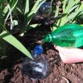 Riego por goteo de bricolaje para pepinos de botellas de plástico