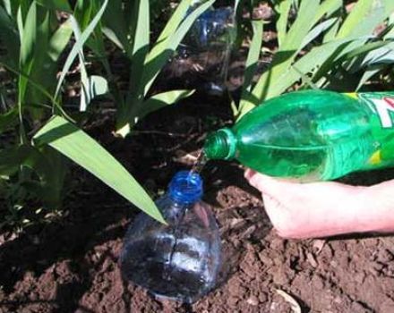 Riego por goteo de bricolaje para pepinos de botellas de plástico.