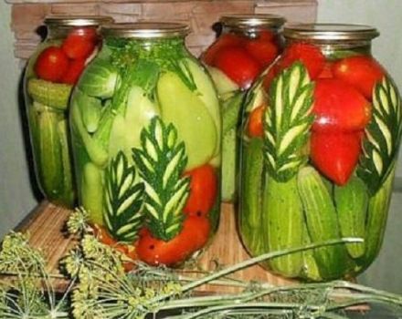 TOP 6 recipes for cooking assorted tomatoes, cucumbers and cabbage for the winter