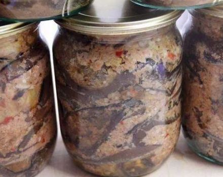 TOP 3 recipes for eggplant blanks with nuts for the winter at home