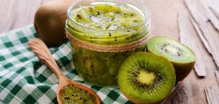 Receta para una mermelada de kiwi deliciosa e inusualmente hermosa