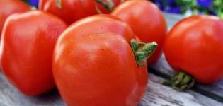 Description de la variété de tomate Atol, ses caractéristiques et son rendement