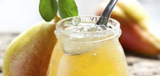 TOP 12 des recettes simples pour faire de la gelée de poire pour l'hiver