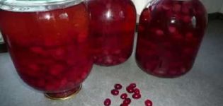 Simple step-by-step recipes for preparing dogwood compote for the winter in a three-liter jar, without sterilization