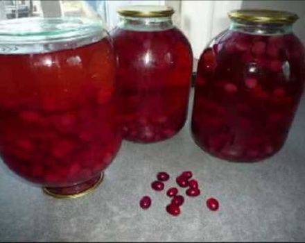 Recetas sencillas paso a paso para preparar compota de cornejo para el invierno en un frasco de tres litros, sin esterilizar