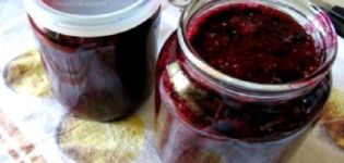 5 recettes pour faire de la confiture de cassis sans cuisson pour l'hiver