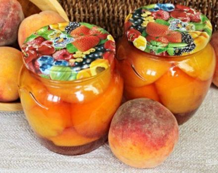 TOP 4 recipes for making canned peaches in syrup for the winter