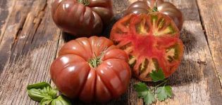 Description of the tomato variety Female share f1, its characteristics